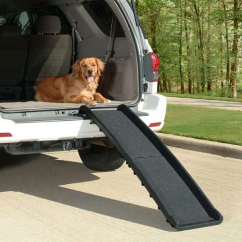 Dog Ramps for the Car, Pet Steps & Stairs | DogCulture