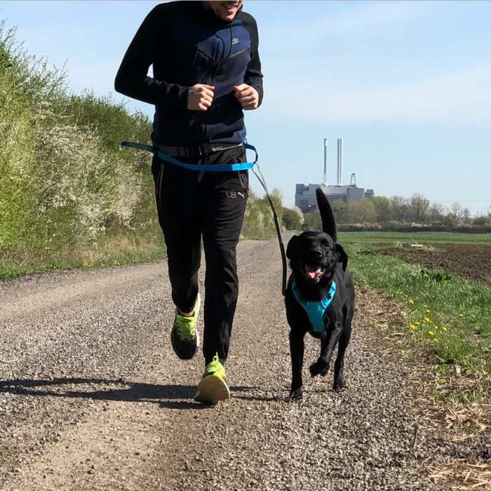 ruffwear running harness