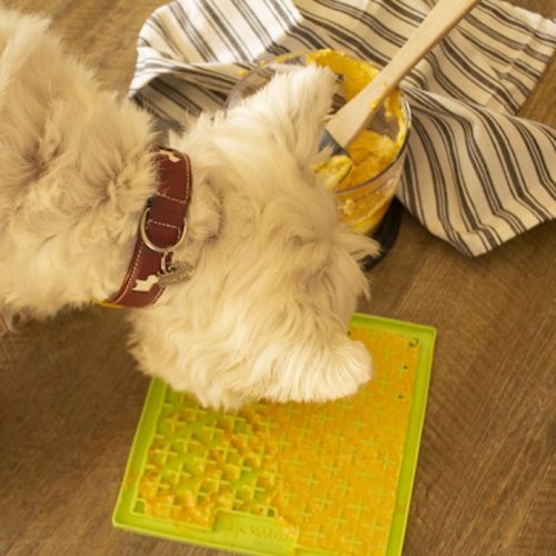 LickiMat Buddy - Boredom Buster, Slow Feed for dogs | DogCulture