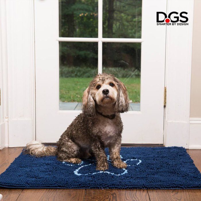 EXPAWLORER Dog Rug for Muddy Paws - Super Absorbent Microfiber Dog Door  Mat, Dog Runner Rug Indoor Outdoor Entrance, Anti-Slip Pet Paw Cleaning  Mat