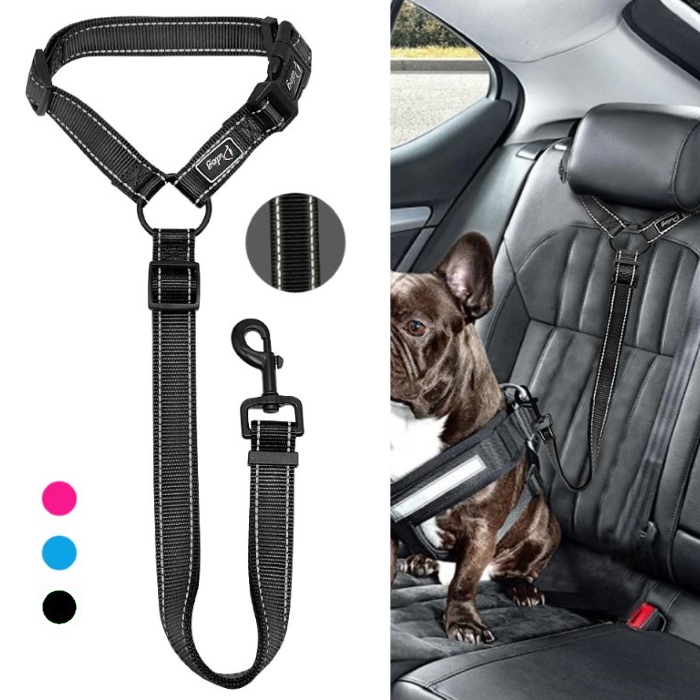 dog seat belt leash