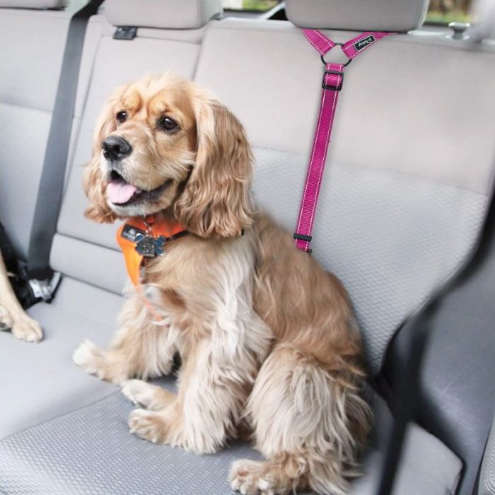 headrest dog car safety seat belt