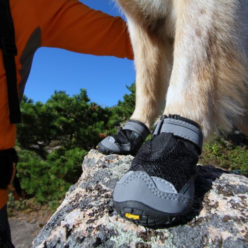 Sporty Pawks - Anti-Slip, Waterproof Dog Socks Australia Dispatch - Canine  Spirit Australia