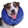 kong cloud collar petbarn