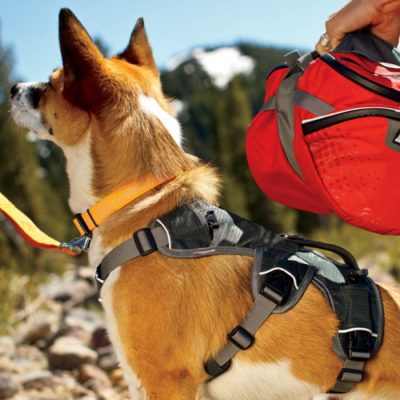 Ruffwear Web Master Harness - With Back Handle - Dogculture