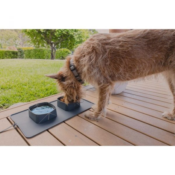 ezy dog travel bowls