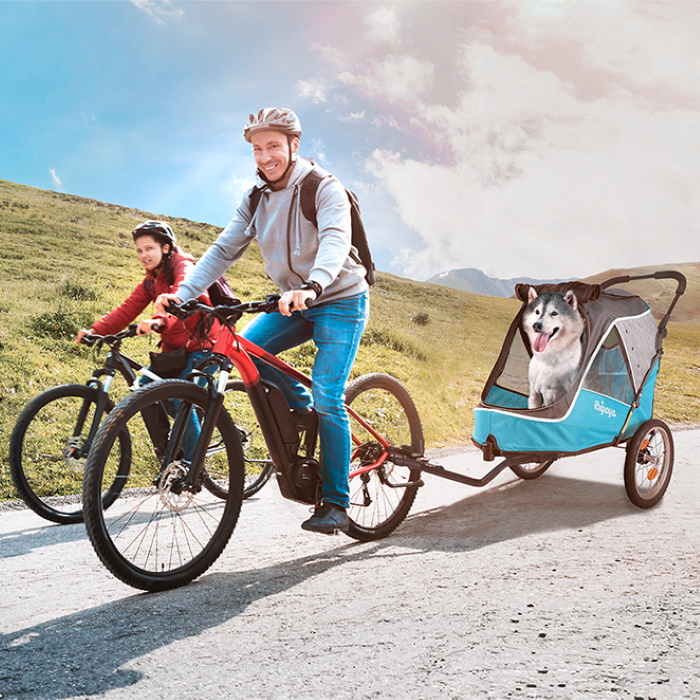 Ibiyaya 2-in-1 Dog Bike Trailer & Stroller 2.0