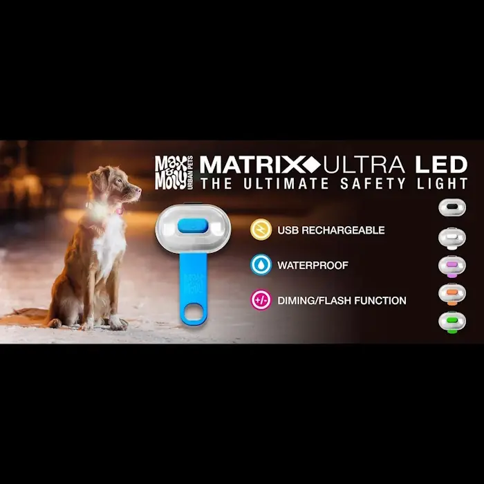 Max and Molly Safety LED rechargable Dog Collar Light_features