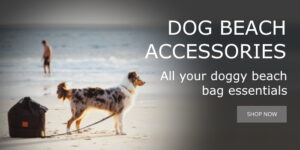 Dog-Beach-Essentials