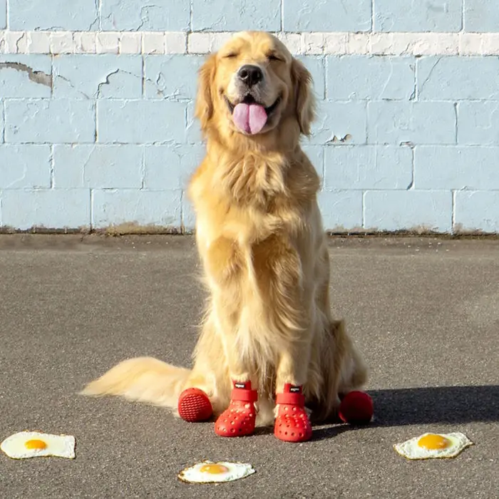 WagWear WagWellies Mojave Dog Boots_Red