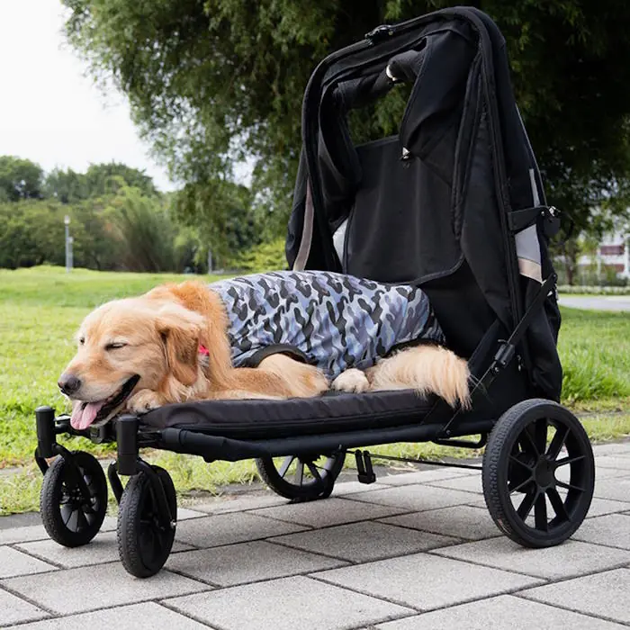 Ibiyaya Grand Cruiser Large Dog Stroller for large Dogs