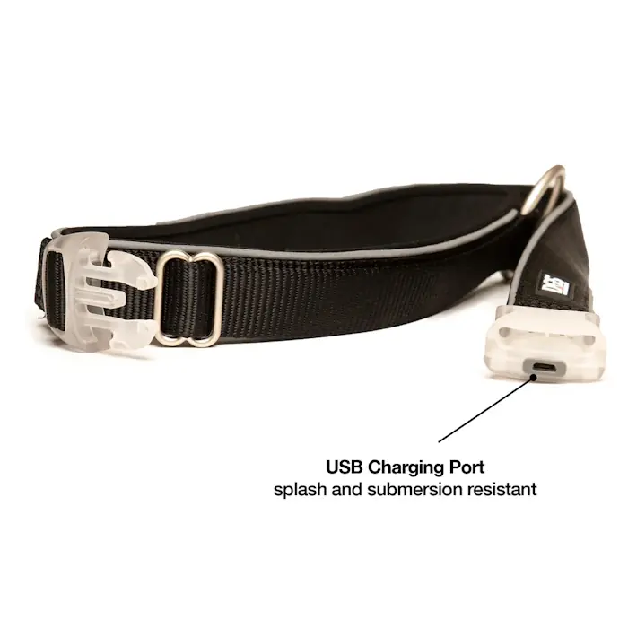 DGS LED Dog Collar_USB Charging