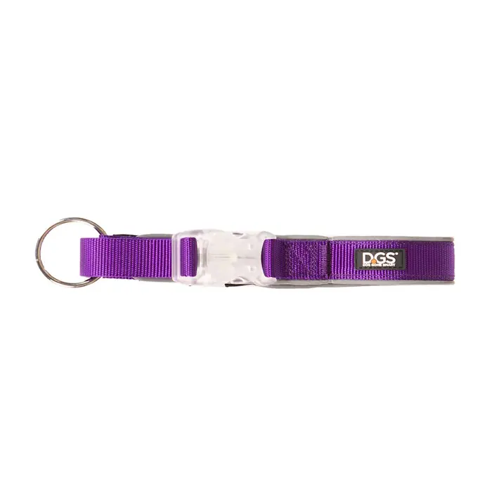 DGS rechargeable LED Safety Dog Collar_Purple