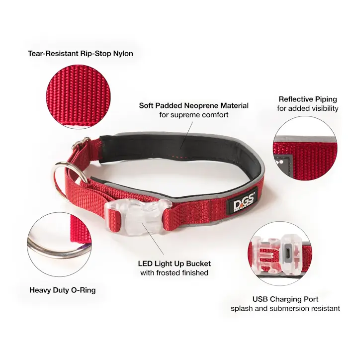 DGS rechargeable LED Safety Dog Collar_features