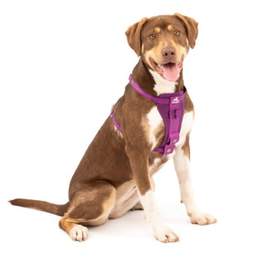 Kurgo Enhanced Strength Tru-Fit Dog Car Harness with Restraint_purple